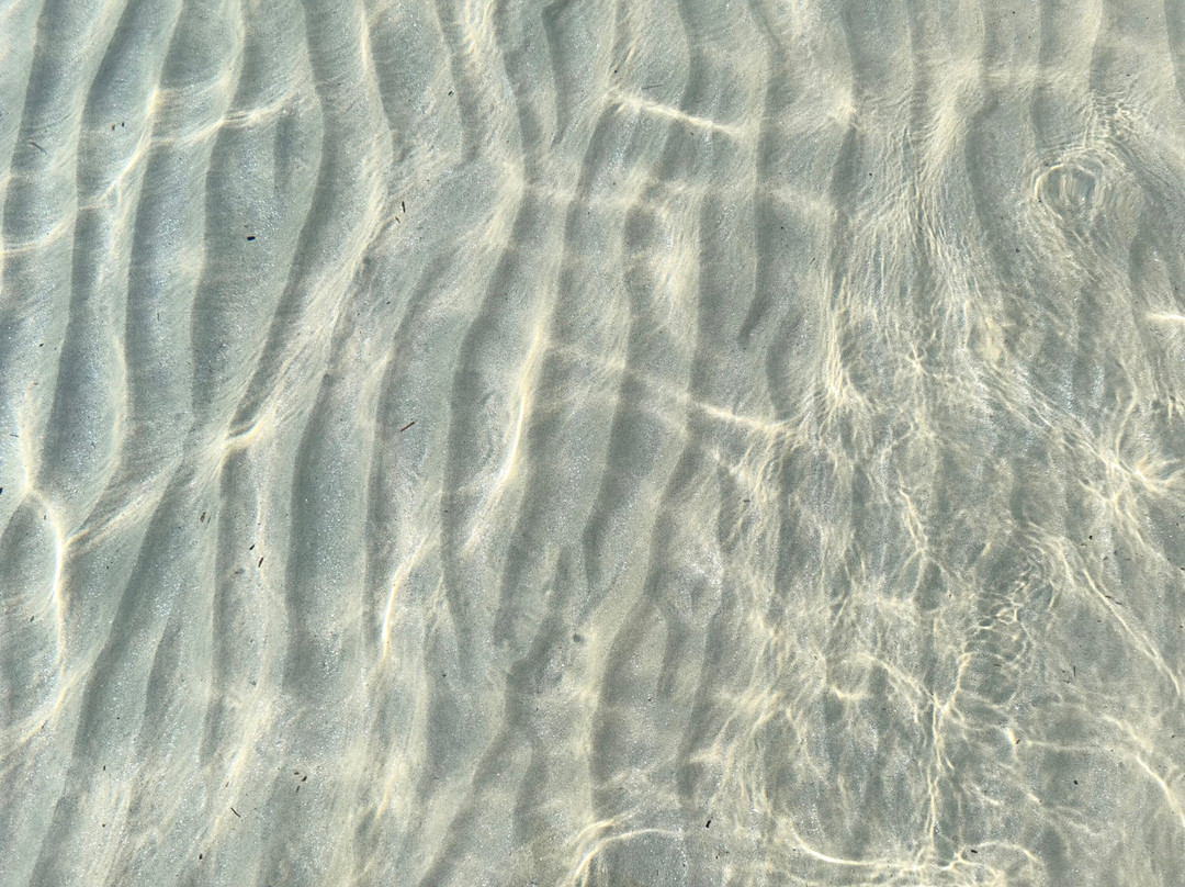 Koukounaries Beach-Koukounaries必去景点