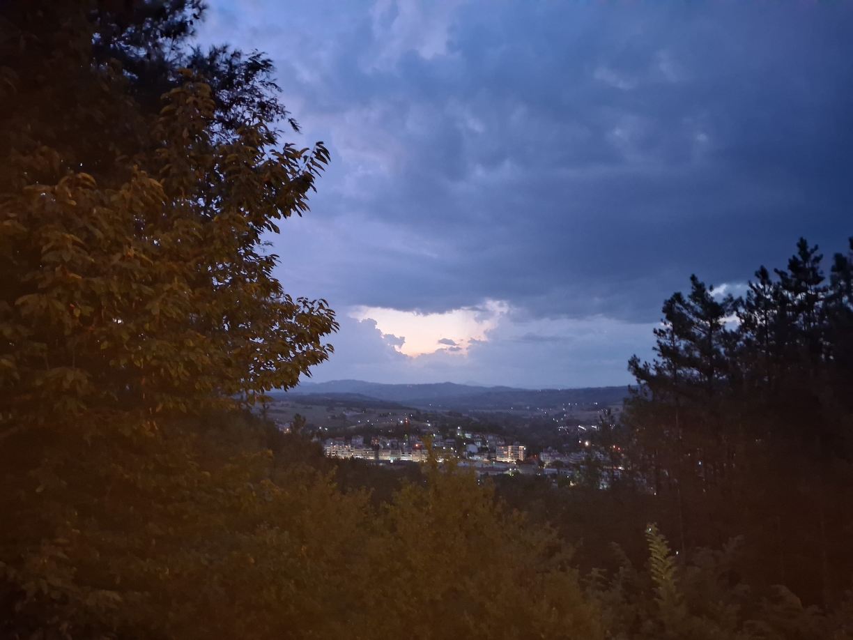 Milionis Forest Hotel-旅行者