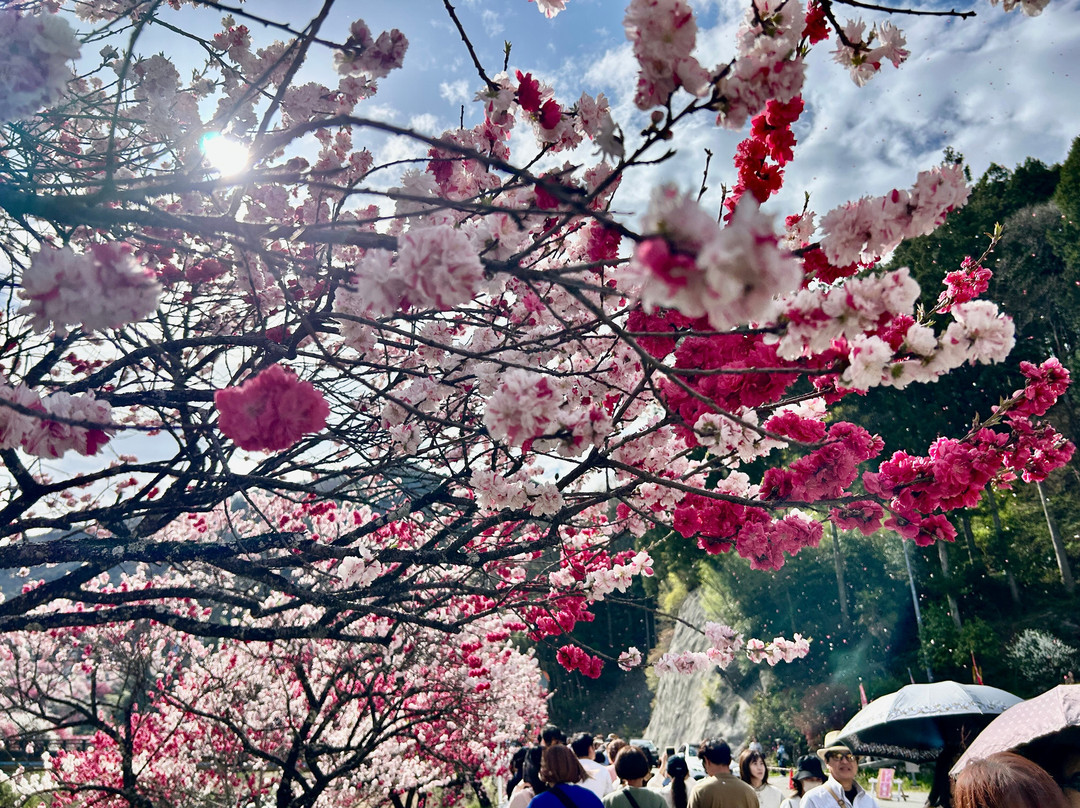 Hanamachi no Sato-阿智村必去景点