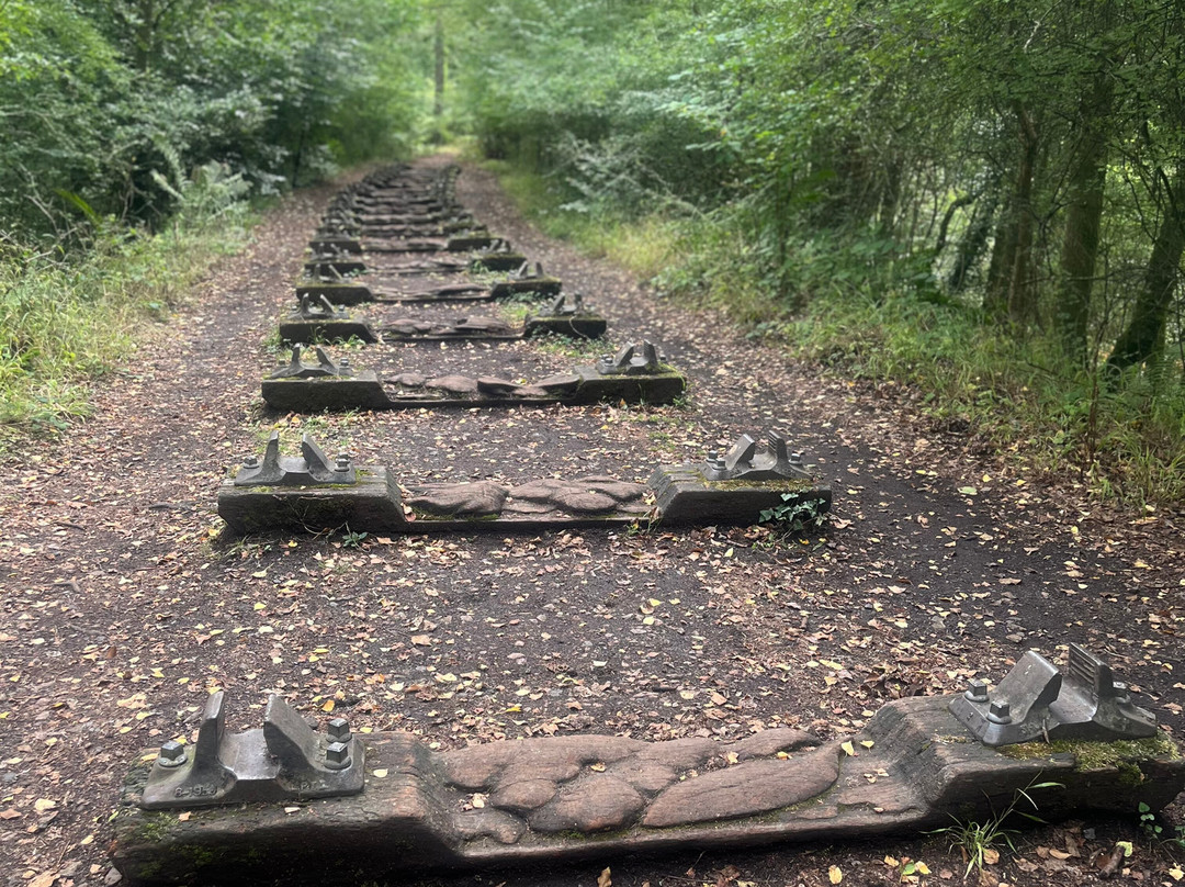 Forest of Dean Sculpture Trail-Coleford必去景点