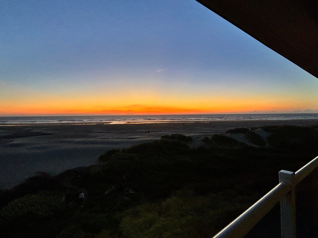 浮木海岸度假酒店主图