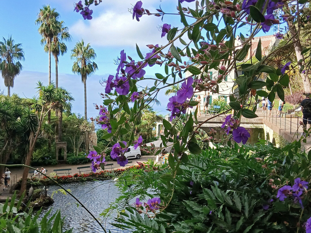 Monte Palace Madeira-沙尔必去景点
