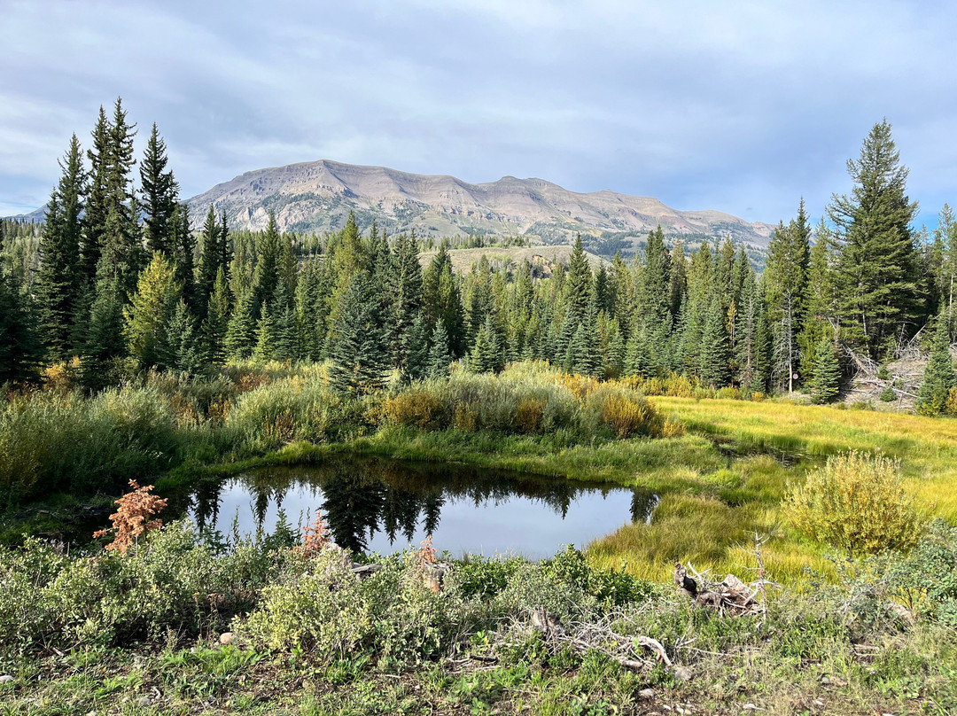 Little Jennie Ranch-Bondurant必去景点