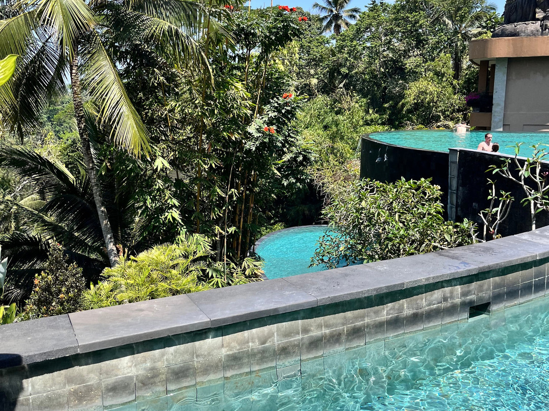 Wanna Jungle Pool and Bar-佩艳艮必去景点