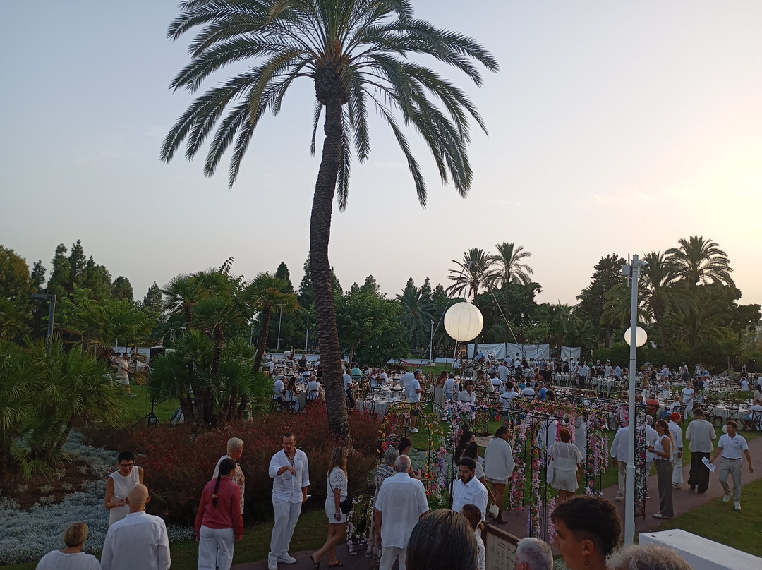 Club Med Magna Marbella主图