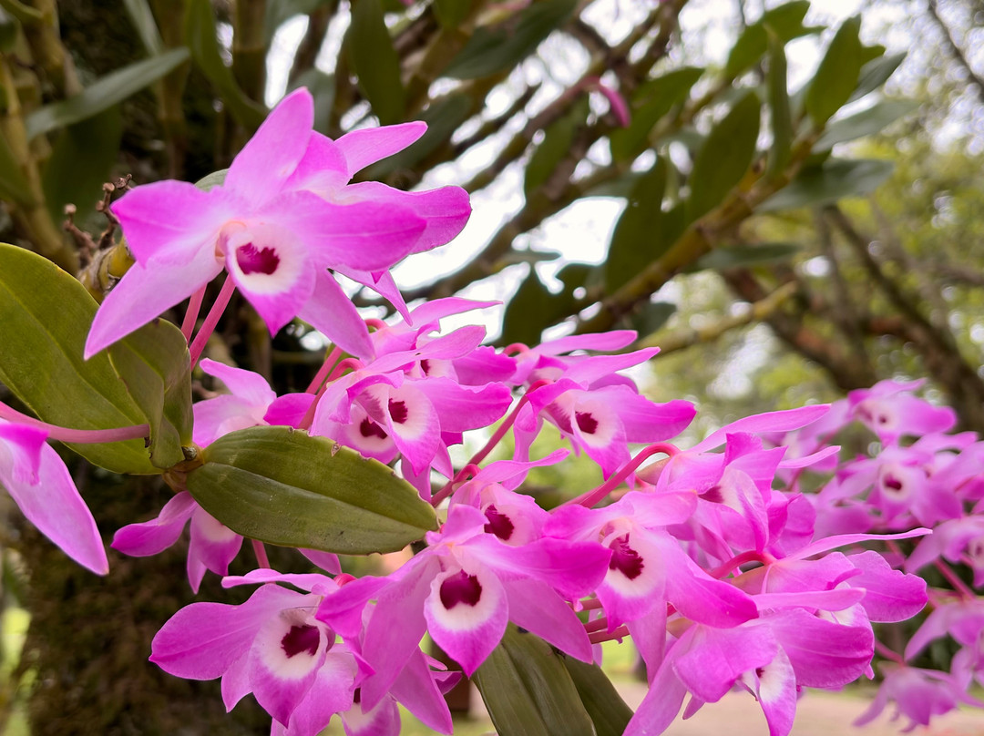 Esculturas Parque Pedras Do Silêncio-Nova Petropolis必去景点