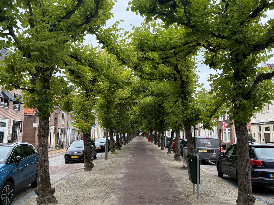 Holland Bike Tours-哈勒姆必去景点
