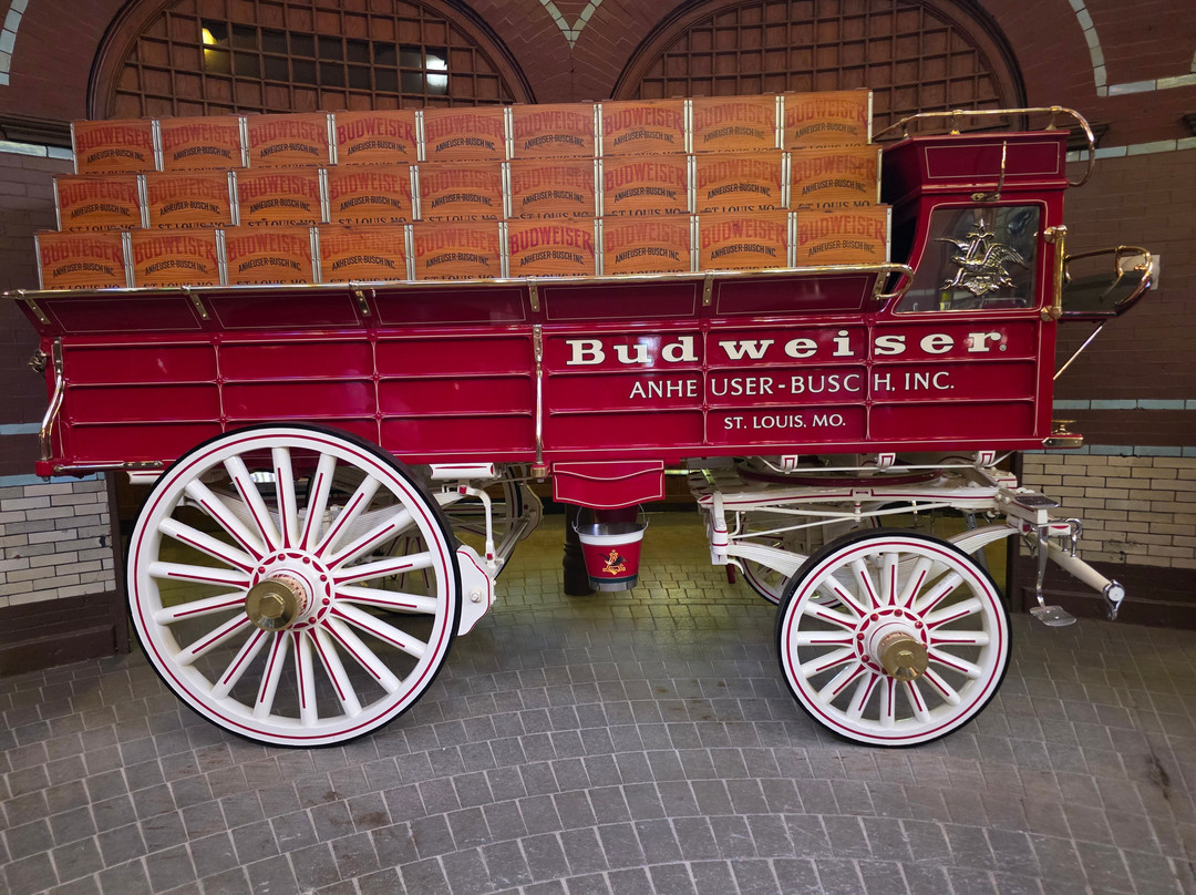 Budweiser Brewery Experience-圣路易斯必去景点