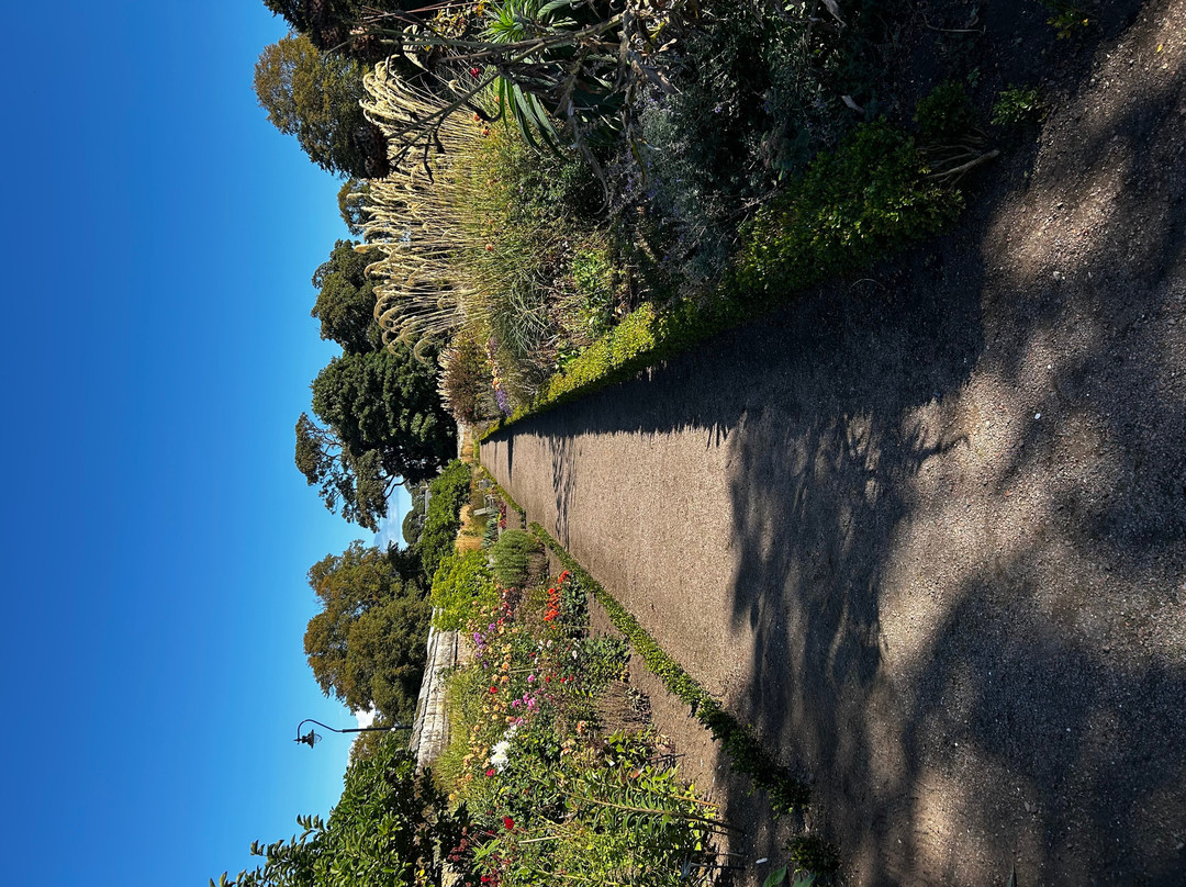 Dirleton Castle-Dirleton必去景点