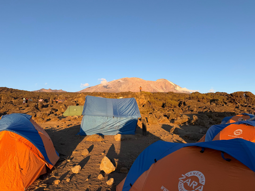 Zara Tanzania Adventures-莫西必去景点
