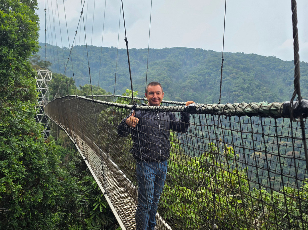 Nyungwe Canopy Walk-Butare必去景点
