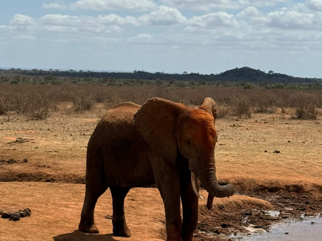 Safari Kenya Watamu-瓦塔木必去景点