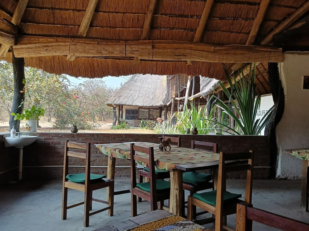 Kuti Wildlife Reserve-沙利马必去景点