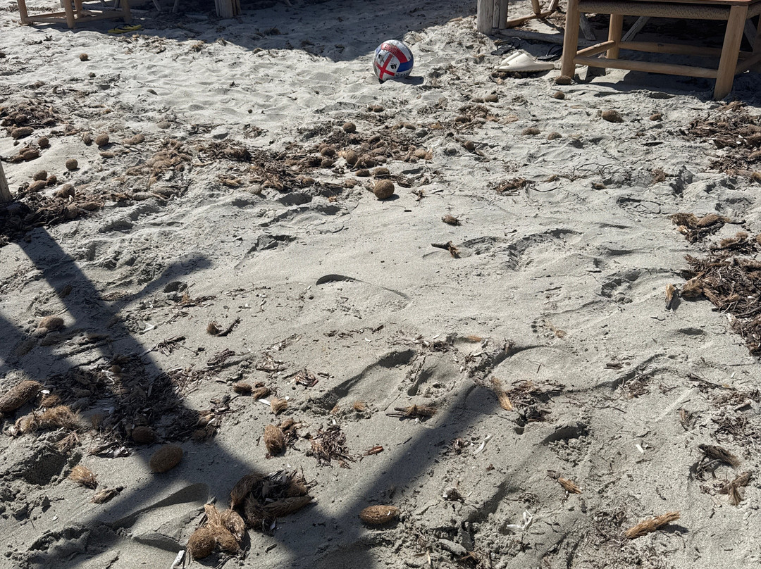Spiaggia di Porto Giunco-维拉西谬斯必去景点