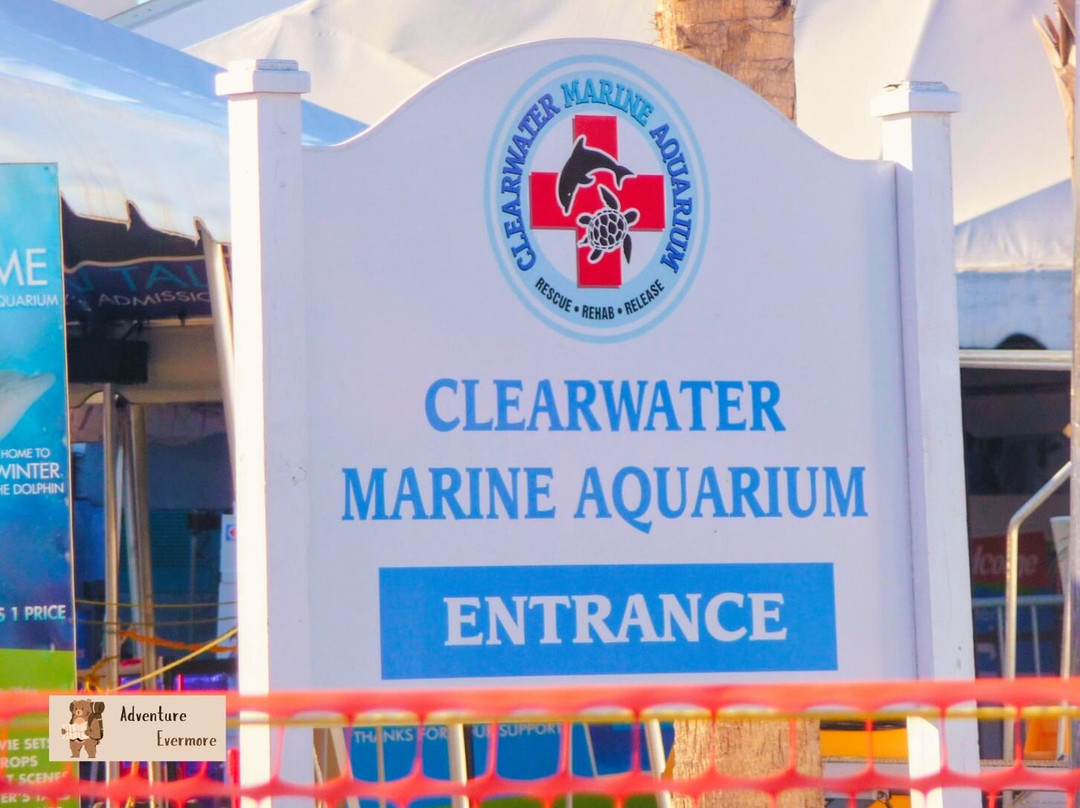 Clearwater Marine Aquarium-克利尔沃特必去景点