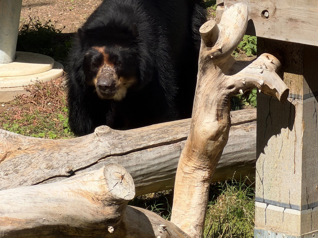 ABQ BioPark Zoo-阿尔伯克基必去景点
