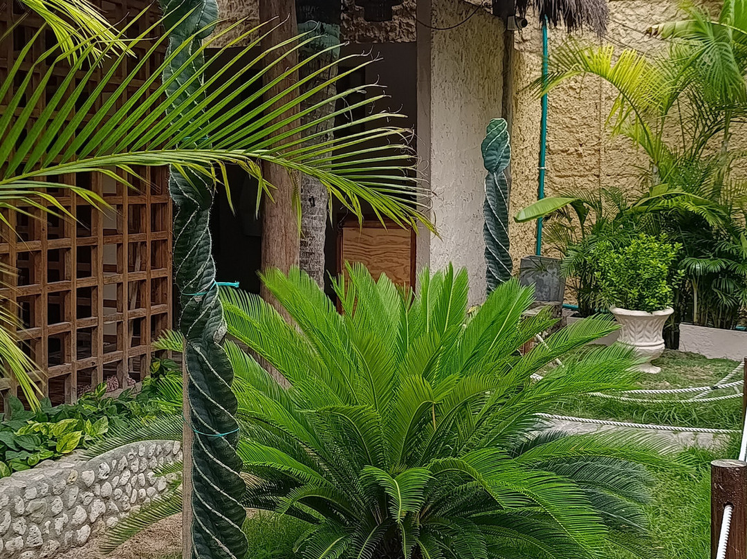Albitours Cartagena-卡塔赫纳必去景点