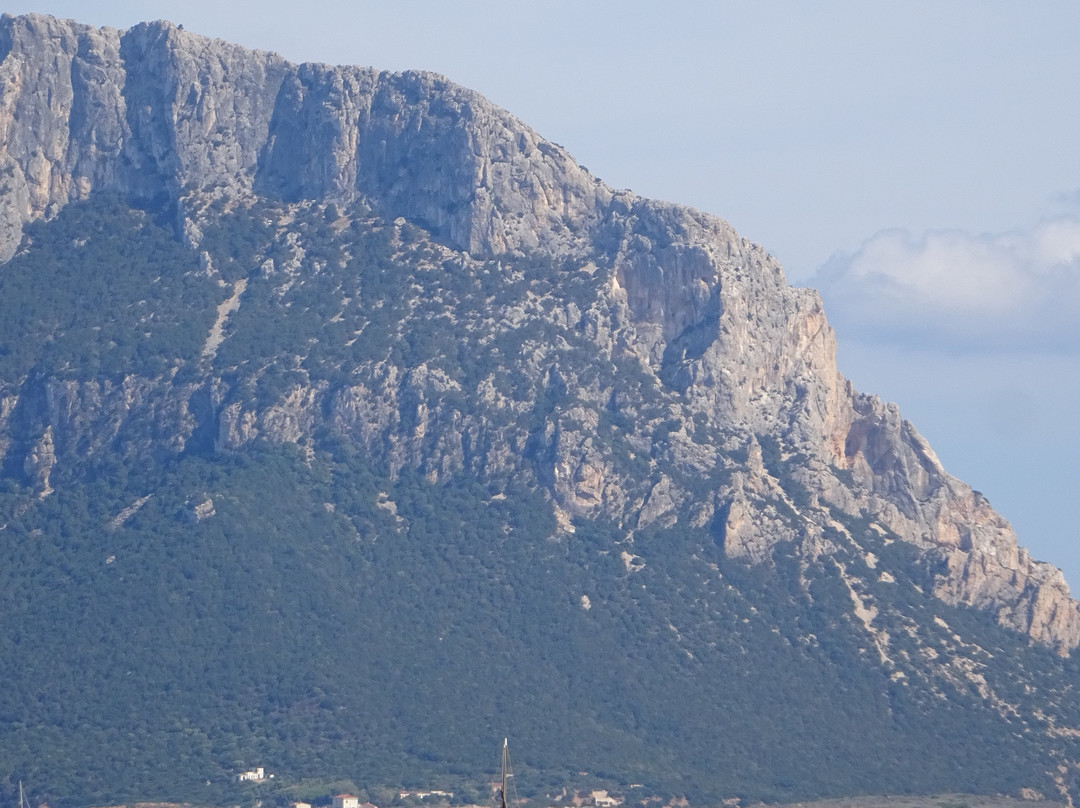 Porto Istana Beach-奥尔比亚必去景点