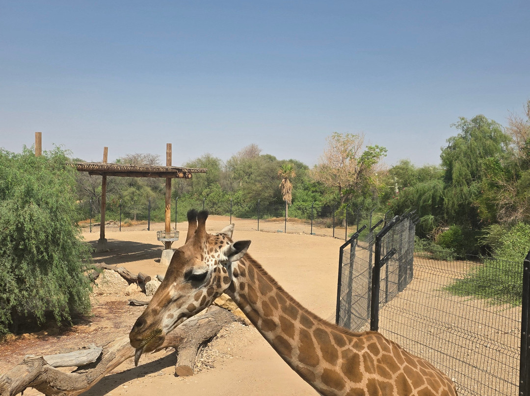 Al Ain Zoo 2017 2018 2019-艾因市必去景点