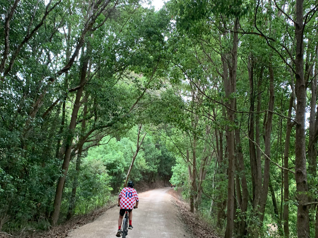 Northern Rivers Rail Trail-Murwillumbah必去景点