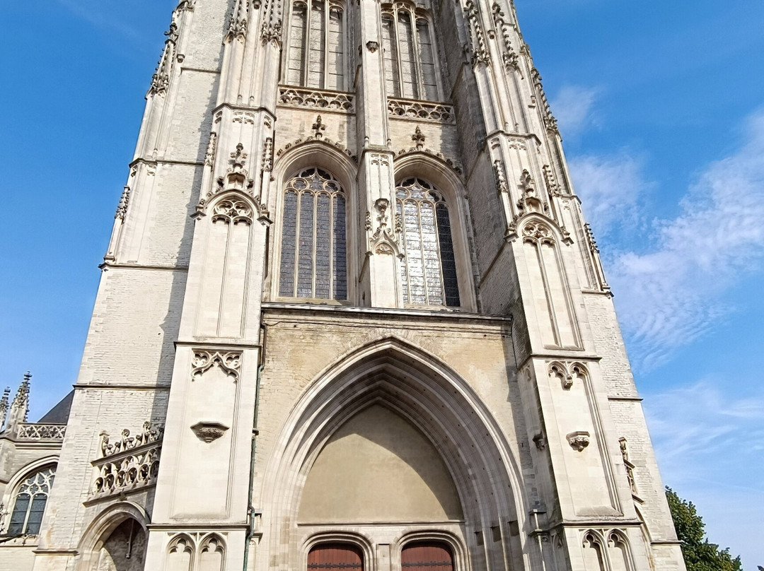 St. Rumbold's Cathedral-梅赫伦必去景点