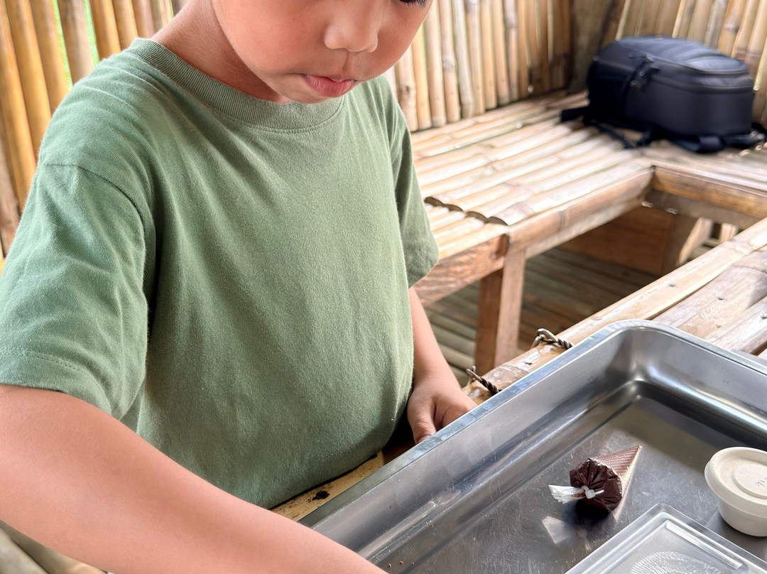 Bohol Chocolate Farm-Sagbayan必去景点