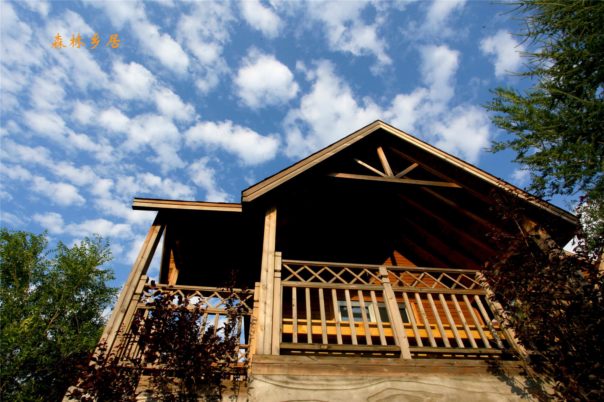 森林乡居度假酒店-浴室