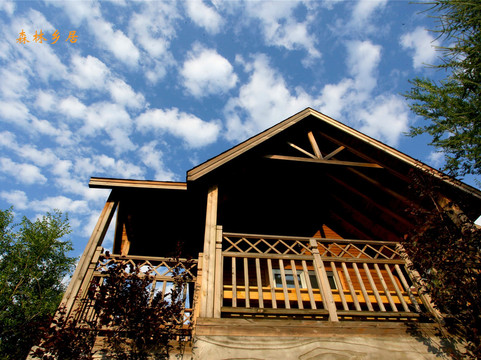 森林乡居度假酒店主图