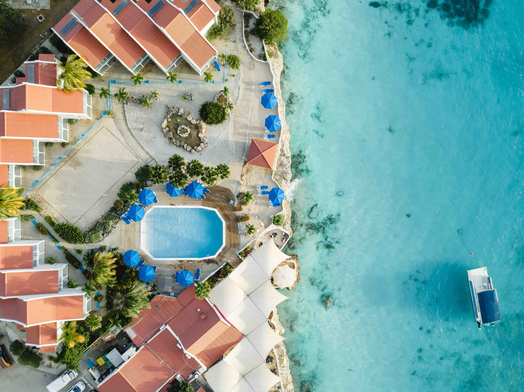 Captain Don's Habitat