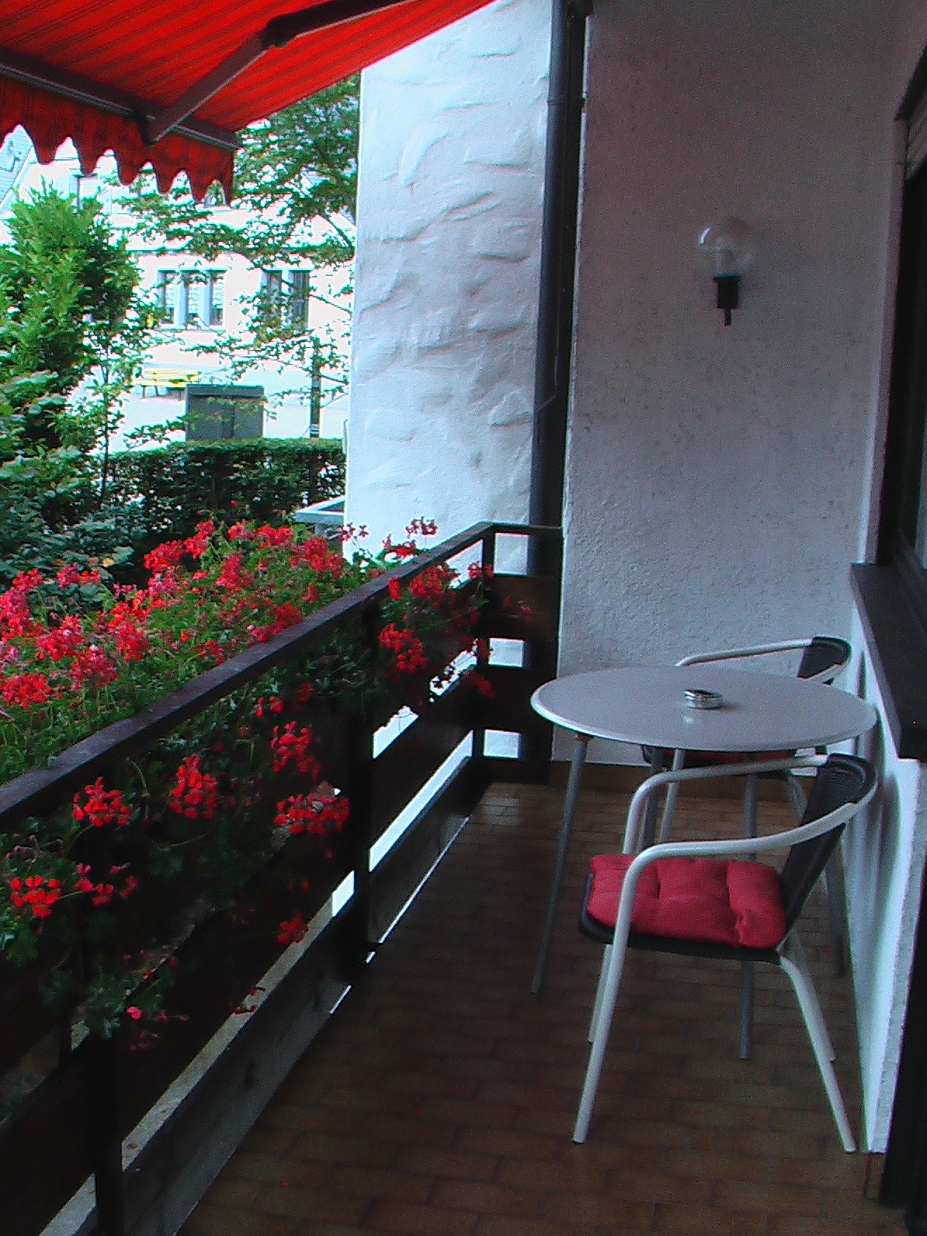 Hotel Hirsch-酒店景观