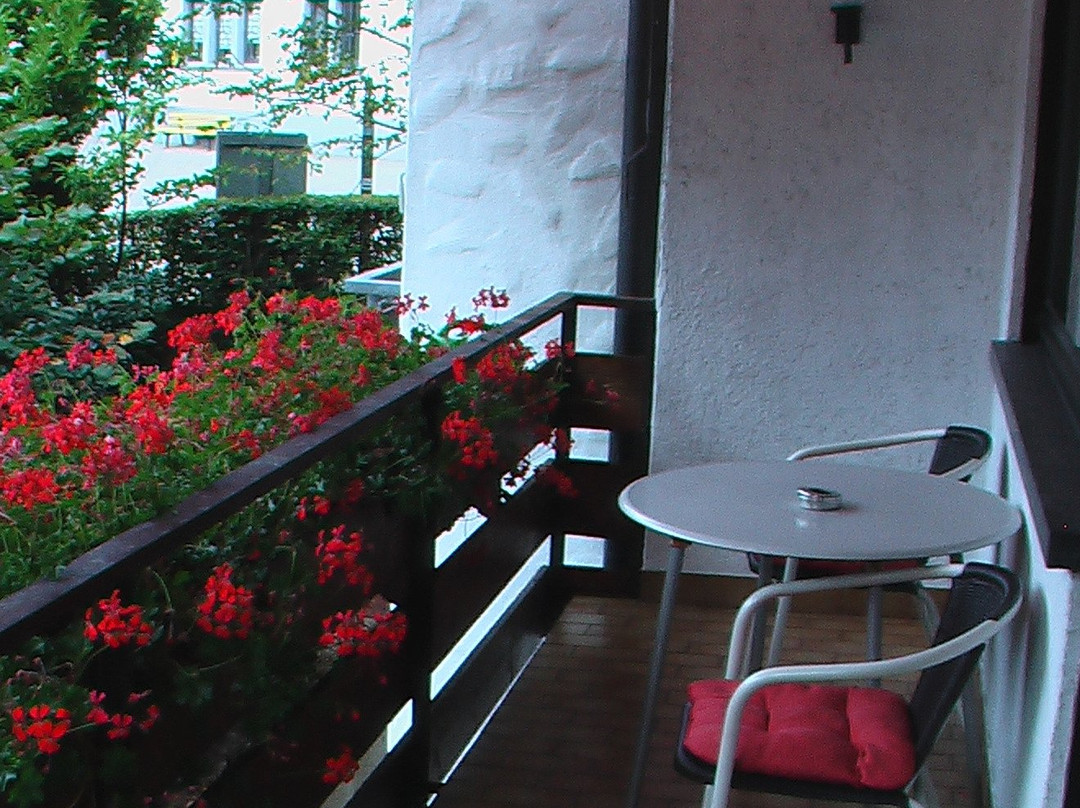 Bad Peterstal-Griesbach酒店住宿-Hotel Hirsch