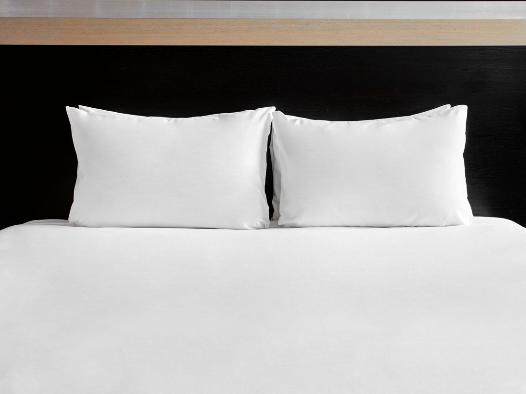 Holiday Inn Rugby-Northampton M1 JCT.18 by IHG主图