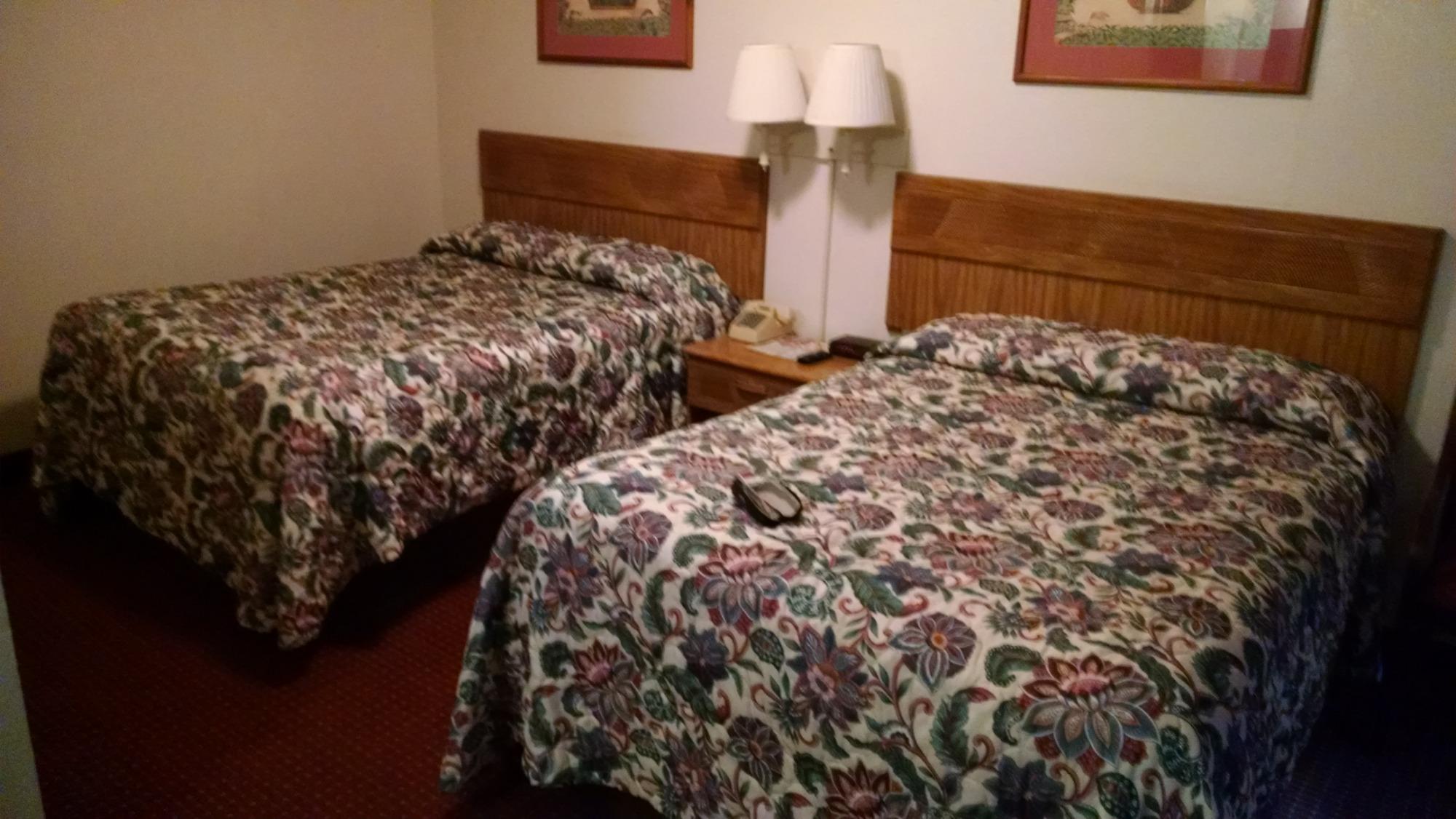 Tazewell Motor Lodge-客卧