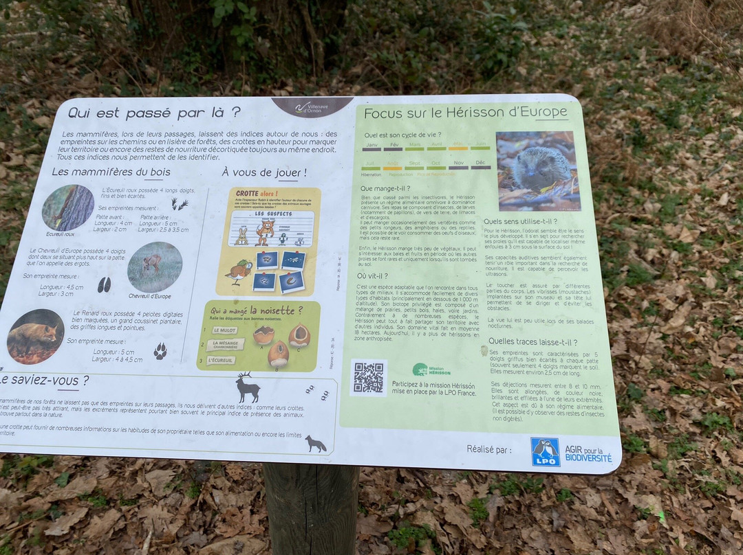 Parc de Sallegourde景点图片