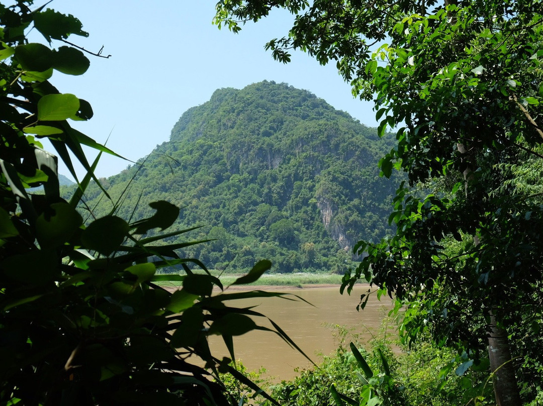 Pha Tad Ke Botanical Garden景点图片