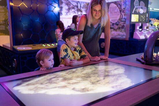 Marine Discovery Centre景点图片