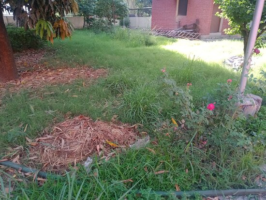 Archaeological Museum-Rupnagar必去景点