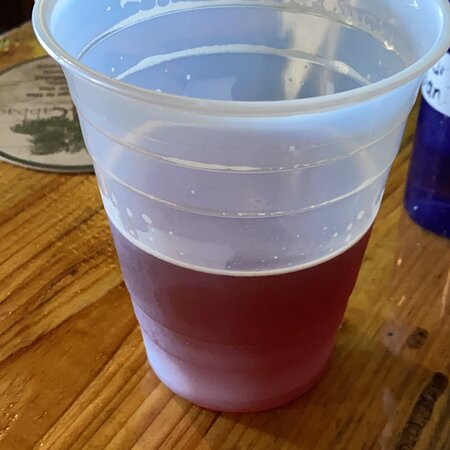 Swamp Cabbage-哥伦比亚必去景点