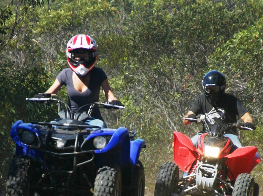 Kangaroo Island Outdoor Action景点图片