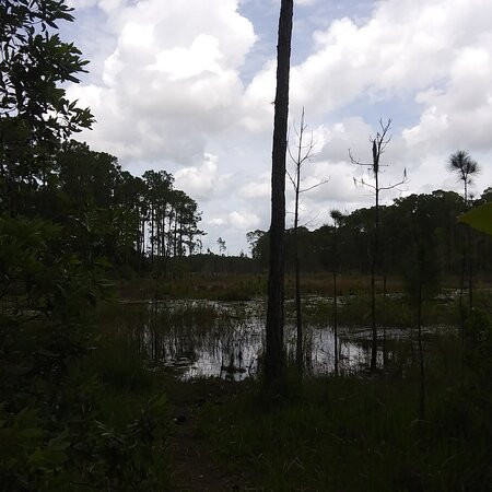 Lake Proctor Wilderness Area-Geneva必去景点