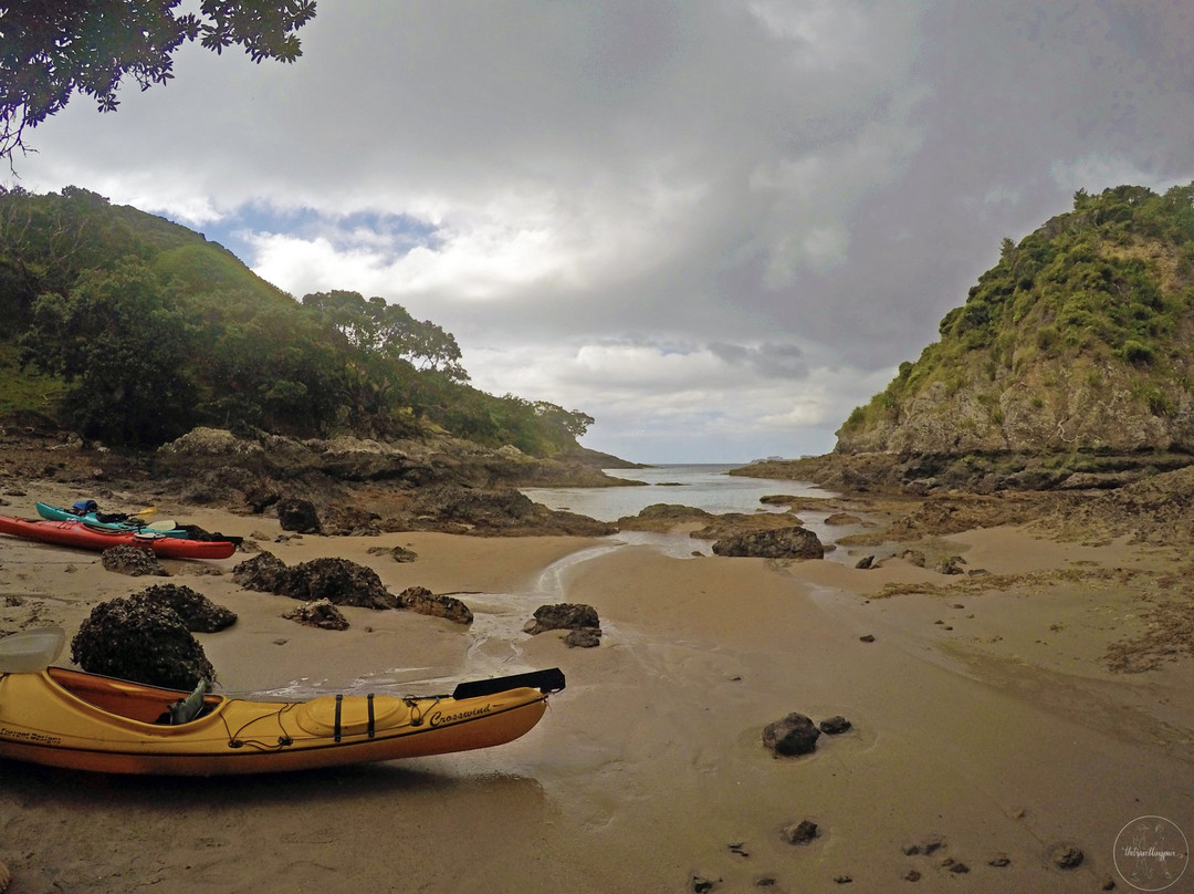 Northland Sea Kayaking景点图片