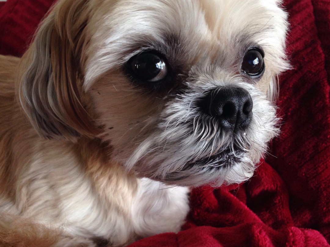 Anza旅游景点-Living Free Animal Sanctuary