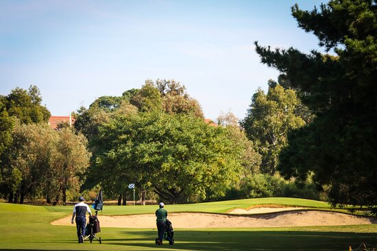 Collier Park Golf Course景点图片