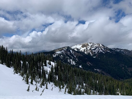 Olympic National Park Visitor Center景点图片