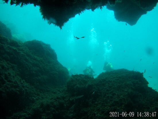 Plongée Passion La Ciotat-拉西奥塔必去景点