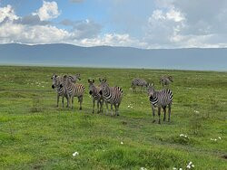 Shades Of Africa Safaris景点图片