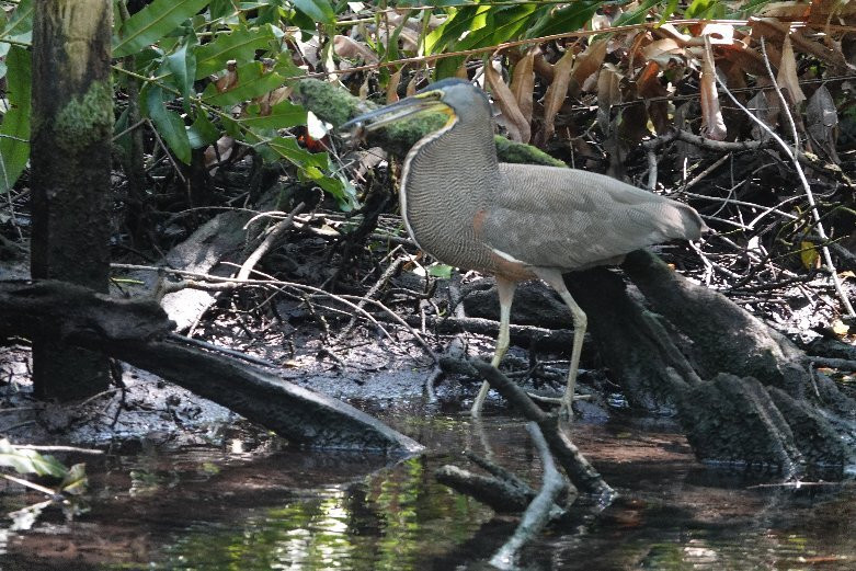 Circuito Ojo de Agua Baldiosera-塞莱斯顿必去景点