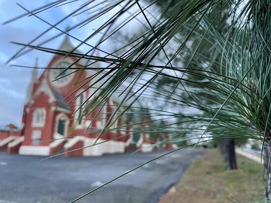 Immaculate Conception Church-St Arnaud必去景点