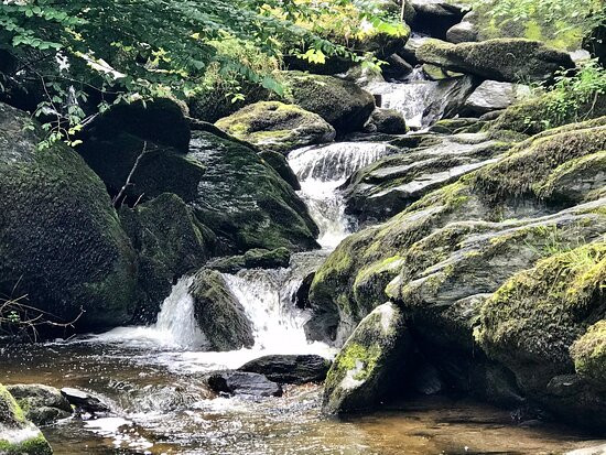 The Sandrock Lynton主图