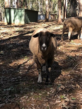 Sun Valley Fire Trail